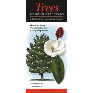  Trees of Southeast Texas A Guide to Common Native Species 