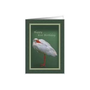  Birthday 81st, White Ibis Bird Card Toys & Games
