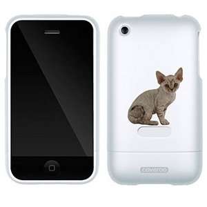    Devon Rex on AT&T iPhone 3G/3GS Case by Coveroo Electronics