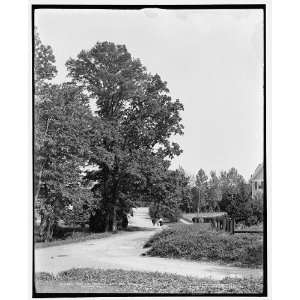  President at Chevy Chase,Washington,D.C.,The