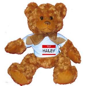  HELLO my name is HAILEY Plush Teddy Bear with BLUE T Shirt 