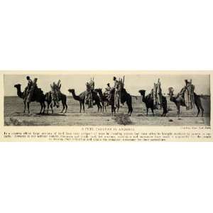 Caravan Camel Transport Trees Revolution Warfare Natural Resources 