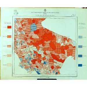   1929 Colour Map Italy Statistics Births Bari Potenza