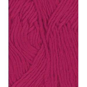   West Trading Company Karaoke Solid Yarn 512 Red Arts, Crafts & Sewing