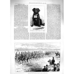   1883 RYDE COLLECTING DOG BRAKE MIDDLESEX YEOMANRY PARK