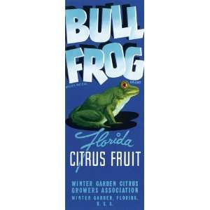  BULL FROG FLORIDA CITRUS FRUIT USA CRATE LABEL CANVAS 
