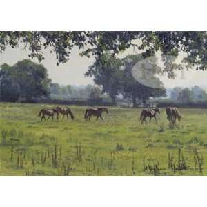  Summer Paddock by Stephen Hawkins