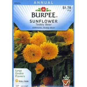  Burpee 47936 Sunflower Teddy Bear Seed Packet Patio, Lawn 