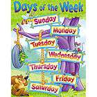 DAYS OF THE WEEK Educationa​l Trend Poster Chart NEW