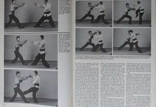 Learn The Secrets Of Kung Fu Sparring Dr. Yang Jwing Ming