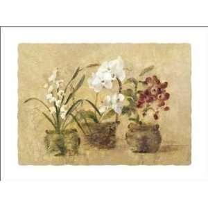  Collection Of Orchids by Cheri Blum 35x26 Kitchen 