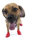 Dog Boots Pawz 3 Sets Summer Winter Shoes Any Size