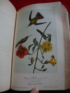 Audubon Birds Of America Complete 7 Vol Set 1861 All 500 Hand Colored 
