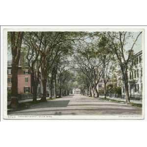    Reprint Chestnut Street, Salem, Mass 1898 1931