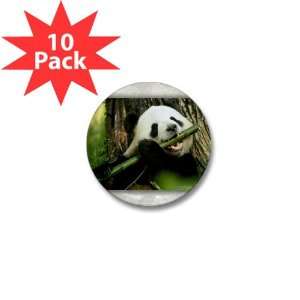  Mini Button (10 Pack) Panda Bear Eating 