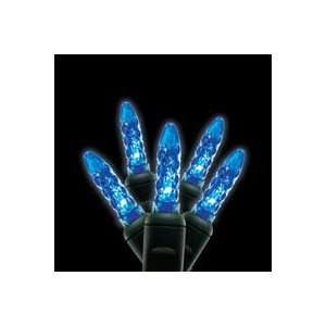 Commercial Grade LED MINI Light String of 25   Blue  