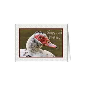  Birthday, 70th, Muscovy Duck Card Toys & Games