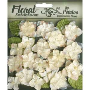   FloraDoodles Chantilly Hydrangeas Cream (3 Pack) 