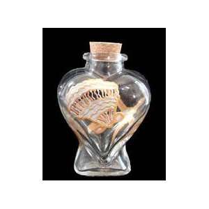 Sea Shell Shimmer Design   Hand Painted   Large Heart Shaped Bottle 