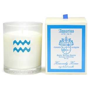  Soular Therapy Aquarius Candle