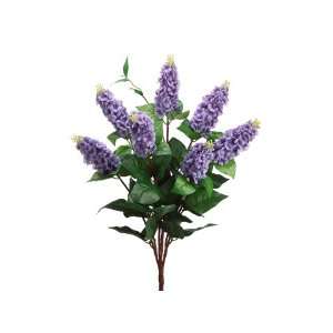   23 Italian Lilac Bush x7 Purple (Pack of 12)