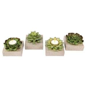  Pack of 8 Succulent Botanical Design Tea Light Holders 