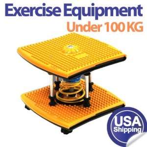  TwistRun Board Exercise Aerobic Fitness Gym for the person 