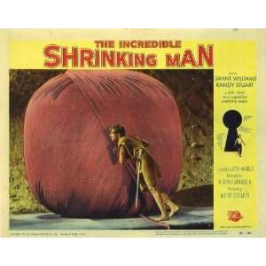 The Incredible Shrinking Man Movie Poster (11 x 14 Inches   28cm x 