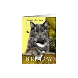 Birthday ~ Age Specific 65th ~ Cat in a box Card  Toys & Games 