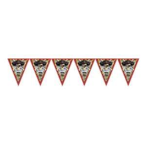 Pirate Flag Banner Toys & Games