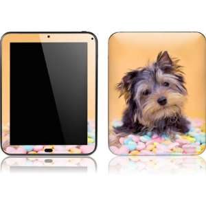  Yorkie Puppy with Candy skin for HP TouchPad