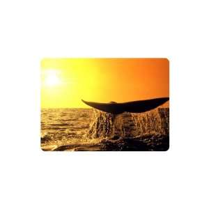  Brand New Whale Mouse Pad Tail 