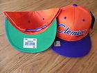 clemson tigers ncaa vintage snapback retro 2 tone script cap