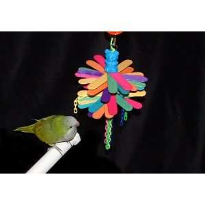    Bird Toy for Cockatiels & Quakers the Poparazzi