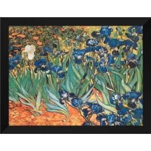  Vincent Van Gogh FRAMED 28x36 Irises in the Garden