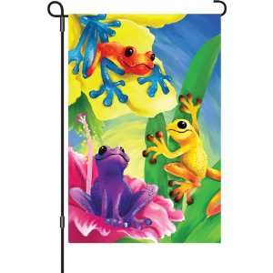 Premier Designs 12 In Flag   Colorful Frogs