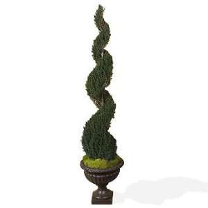  Sprial Topiary in Villa Urn   66 Tall   Frontgate