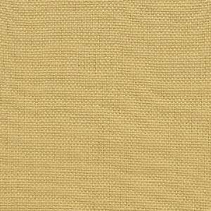  2499 Hudson in Rattan by Pindler Fabric