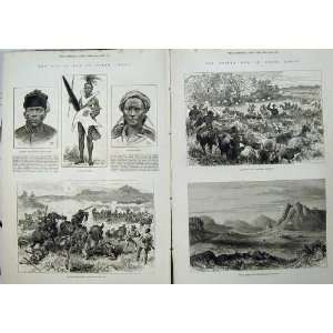 Basuto War South Africa 1880 Cattle Masupha Warrior Men 