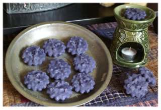 BLUEBERRY MUFFIN Grubby Candle Tart ~SUPER DUPER STRONG  