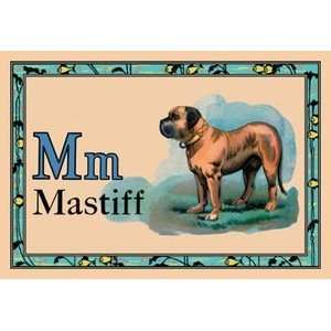  Mastiff   12x18 Framed Print in Gold Frame (17x23 finished 