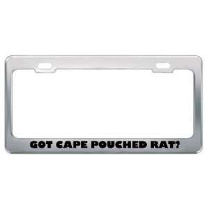 Got Cape Pouched Rat? Animals Pets Metal License Plate Frame Holder 