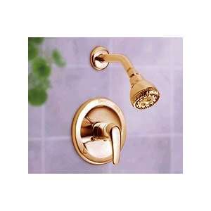  Danze 500513 BP Brass Single Handle Shower Faucet
