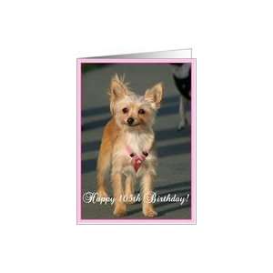  Happy 105th Birthday Chihuahua Dog Card Toys & Games