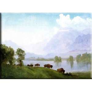 Buffalo Country 30x22 Streched Canvas Art by Bierstadt, Albert