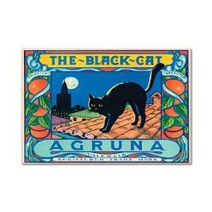  The Black Cat Agruna Valencia Oranges Label Art Fridge 