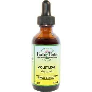 Alternative Health & Herbs Remedies Dandelion Root with Glycerine, 1 