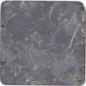  Stone Accent 4 x 4 Tile in Color 00900