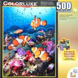  COLORLUXE THREE CLOWN FISH, ANDAMAN SEA, Maximum Color 