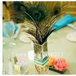   peacock feather decorative feather feather diy feather